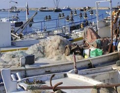   مصر اليوم - توقف حركة الصيد في كفر الشيخ بسبب هبوب الرياح الشديدة واضطراب الملاحة البحرية