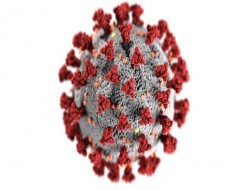   مصر اليوم - دراسة تكشف أعراضا جديدة لفيروس كورونا طويل الأجل