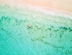   مصر اليوم - أجمل الشواطئ التي ينصح بزيارتها في سريلانكا