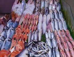   مصر اليوم - ٦ أنواع من الأسماك مهمة للرضع أبرزهم «التونة والجمبري»
