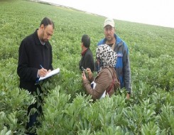   مصر اليوم - وزارة الزراعة المصرية تحذر من تذبذب الحرارة وتأثيرها على المحاصيل الحالية