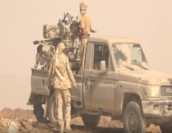   مصر اليوم - الجيش اليمني يفكك ألغامًا للحوثيين في محافظة الحديدة