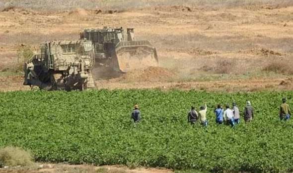   مصر اليوم - مستوطنون يهود يقطعون أشجار الزيتون و عشرات المصابين خلال تصدي الفلسطينيين لهم في الخليل