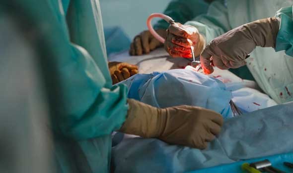   مصر اليوم - نضال الشافعي يخضع لعملية جراحية دقيقة بعد إصابته بانفجار القاولون