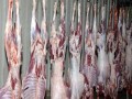   مصر اليوم - أخصائي تغذية يُحدد معدل استهلاك اللحوم