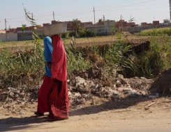   مصر اليوم - تَوفير مَشاغل ووحدات إنتاجية لتمكين المرأة الريفية اقتصادياً في مصر