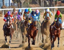   مصر اليوم - عودة المهرجانات السنوية للخيول العربية لتنشيط السياحة في مصر