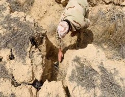  مصر اليوم - تسجيل أول آثار أقدام ديناصورات آكلة اللحوم بـ صحراء مصر الشرقية