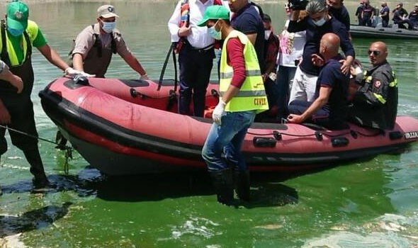   مصر اليوم - إجراءات من البيئة للتخلص من التلوث الزيتي في شواطئ بورسعيد