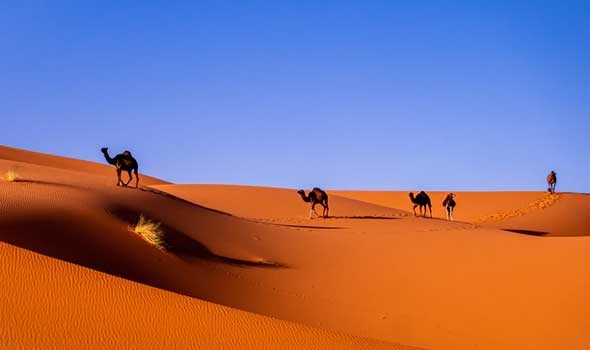   مصر اليوم - سجال مغربي جزائري بشأن الصحراء في القمة الإفريقية وواشنطن تعرب عن قلقها