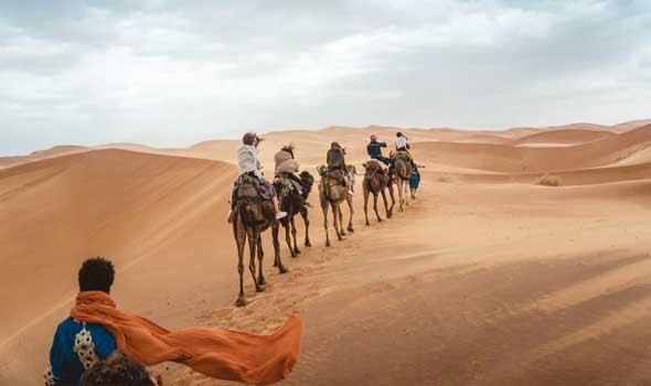   مصر اليوم - الصحراء البيضاء متحفاً مفتوحاً لدراسة البيئة الصحراوية ومرصدا لعلماء الفلك في مصر