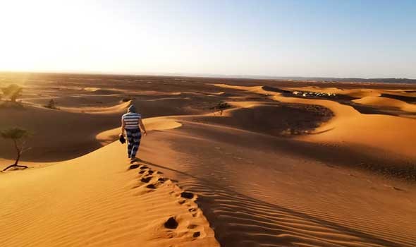   مصر اليوم - العثور على 6 مهاجرين بينهم 4 أطفال قضوا في الصحراء التونسية بسبب الجفاف
