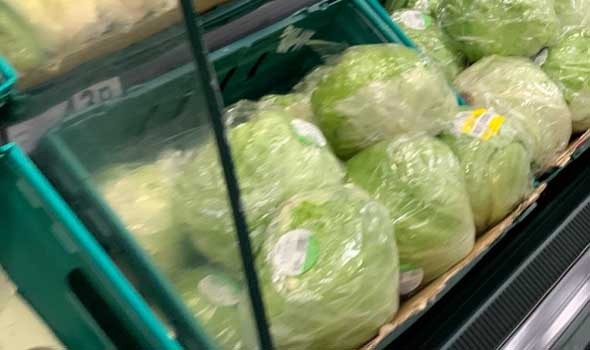   مصر اليوم - نقيب الفلاحين يَكشف موعد انخفاض أسعار الخضروات في الاسواق المصرية