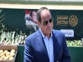   مصر اليوم - السيسي يكشف عن سبب لجوئه لشيخ التنقيب قبل ترشحه لرئاسة مصر
