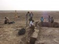   مصر اليوم - باحثون صينيون يكتشفون حفرية لوحيد القرن يرجع تاريخها لـ 14 مليون سنة