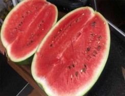   مصر اليوم - 12 فائدة لتناول البطيخ في الصيف يحسن الصحة ويقي من الأمراض