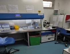   مصر اليوم - دراسة توضح تأثير السمنة وتقلبات الوزن على الكلي