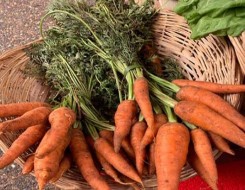  مصر اليوم - أسعار الخضراوات و الفاكهة فى سوق العبور اليوم الجمعة