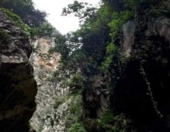   مصر اليوم - أفريقيا تُدهش العالم بظاهرة غير مسبوقة