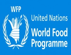   مصر اليوم - برنامج الأغذية العالمي يُحذر من عواقب ارتفاع وانتشار مستوى المجاعة في السودان