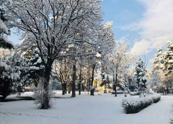   مصر اليوم - الحساسية من البرد ظاهرة نادرة لكنها أخطر مما تعتقد