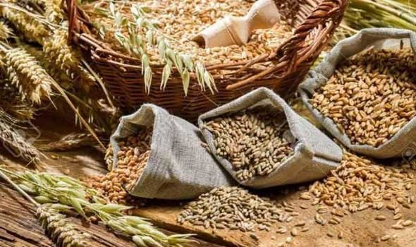   مصر اليوم - زيلينسكي يُحذر من انخفاض محصول الحبوب إلى النصف بسبب الحرب
