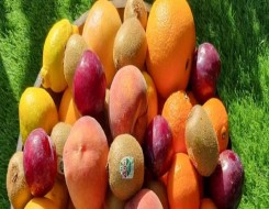  مصر اليوم - 4 أنواع من الفاكهة تُساعد علي خسارة الوزن
