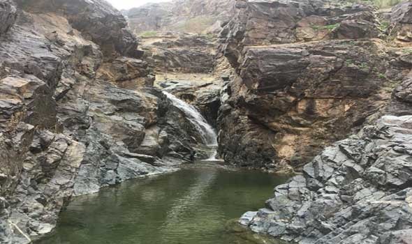   مصر اليوم - أمانة المدينة المنورة تعتمد مشروعًا فندقيًا بحي الروابي لتعزيز السياحة