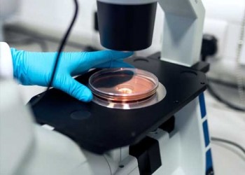   مصر اليوم - دراسة حديثة تكشف دور البروبيوتيك في تقليل آثار التلوث البلاستيكي