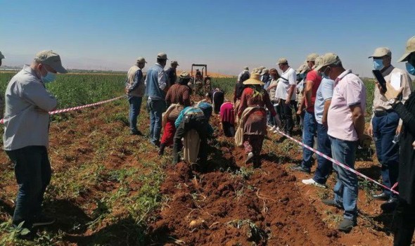   مصر اليوم - سيد خليفة يكشف تفاصيل أفضل مشروع لتكيف المحاصيل مع التغيرات المناخية