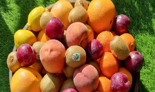   مصر اليوم - فاكهة صيفية تسهم في الوقاية من أمراض القلب والسرطان
