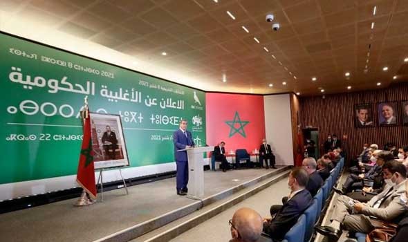   مصر اليوم - الحكومة المغربية تتخلى عن اللغة الفرنسية بشكل نهائي وتعتمد على العربية والأمازيغية