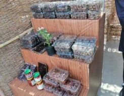   مصر اليوم - مصر تتصدر إنتاج التمور عالميا والسعودية وتونس في صدارة التصدير