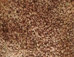   مصر اليوم - أطعمة تساعد على تنظيف الشرايين وتحسين الدورة الدموية