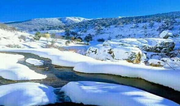 القطب الشمالي يسجل أعلى درجات حرارة على الإطلاق