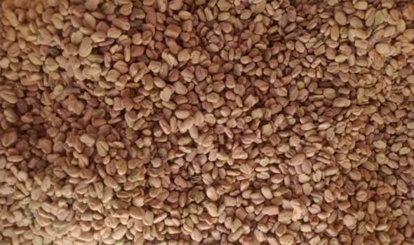   مصر اليوم - أطعمة تساعد على تنظيف الشرايين وتحسين الدورة الدموية