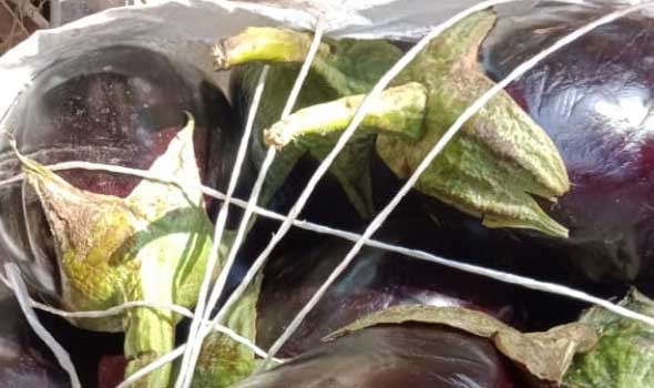   مصر اليوم - طريقة عمل مقلوبة الباذنجان