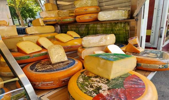   مصر اليوم - أطعمة نباتية غنية بفيتامين D تدعم صحة العظام والمناعة