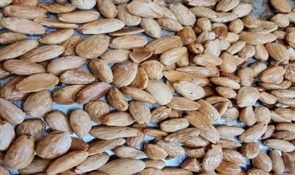   مصر اليوم - جوز البرازيل كنز غذائي يعزّز صحتك من الداخل إلى الخارج