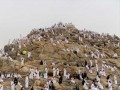   مصر اليوم - خطبة يوم عرفة 1447هـ تصل إلى العالم بـ35 لغة عبر المنصات الرقمية لتعزيز رسالة الإسلام الوسطية