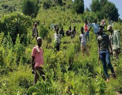   مصر اليوم - حرب إيران تهدد الأمن الغذائي العالمي مع ارتفاع أسعار الأسمدة