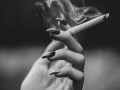   مصر اليوم - نيوزيلندا أول دولة تستعد لمنع شبابها من التدخين نهائياً