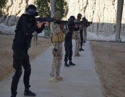   مصر اليوم - التطورات الإقليمية والدولية محور مباحثات وزير الدفاع السعودي ونظيره القطري