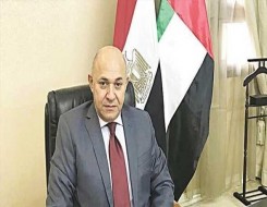   مصر اليوم - السفير شريف البدوي يلتقي المصريين المصابين في حادث الإمارات الإرهابي
