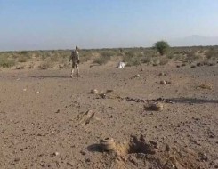   مصر اليوم - الجزائر تجدد مطالبتها فرنسا بإزالة آثار الألغام الاستعمارية وتعويض المتضررين