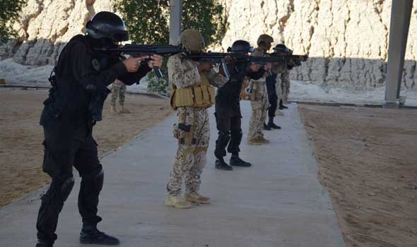 مصر اليوم - التطورات الإقليمية والدولية محور مباحثات وزير الدفاع السعودي ونظيره القطري