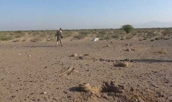   مصر اليوم - الجزائر تجدد مطالبتها فرنسا بإزالة آثار الألغام الاستعمارية وتعويض المتضررين