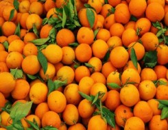   مصر اليوم - 6 فوائد صحية لتناول البرتقال
