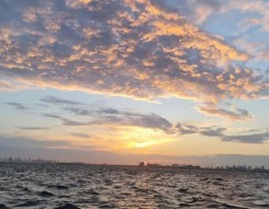   مصر اليوم - التغير المناخي يضاعف عدد سكان العالم المعرضين لحرارة شديدة بحلول 2050