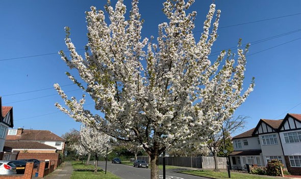   مصر اليوم - سان فرانسيسكو تشهد نهضة عقارية فاخرة